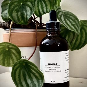 Ginger + Onion Oxymel