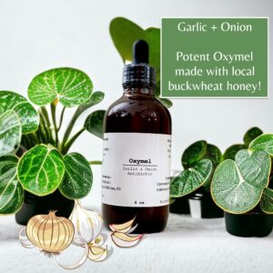 Garlic + Onion Oxymel